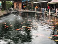 -湖鲜楼