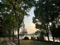 -羊山湖公园