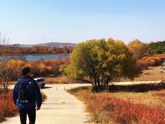 -塞罕坝国家级自然保护区