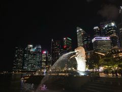 -新加坡文华东方酒店