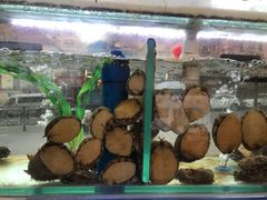 -富临港·蒸汽海鲜·手抓海鲜·炒菜(栈桥店)