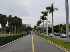-黄金海岸环岛路