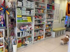 -悦宠凯宝动物医院·牙科·皮肤科(朝阳北路店)