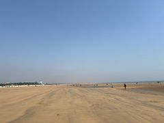 -日照海滨国家森林公园