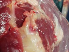 -亚龙湾8号(丁村万人海鲜广场店)