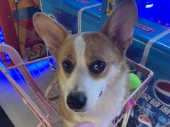 -阿尔法Game Station(中山路店)