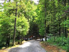 -山王坪喀斯特国家生态公园
