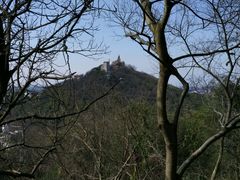 -上海佘山国家森林公园西佘山园