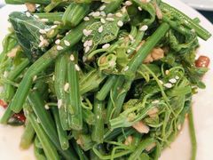 珊瑚丝瓜尖-皇家冰窖小院(什刹海店)