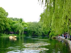 -柳浪闻莺公园