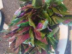 -皇城老妈火锅·川味传承(港湾店)