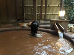 -有马温泉 竹取亭円山温泉旅馆