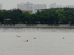 -珠江夜游广州塔·中大码头