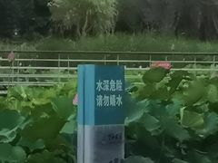-望湖公园