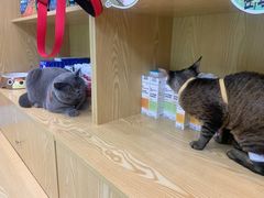 -中农大我爱我爱动物医院·核磁CT·猫病·24小时夜诊中心(石佛营店)