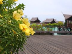 -卡帕莱度假村(西巴丹岛)