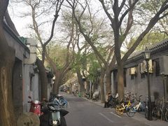 -炒豆合作社(东四总店)