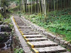 -莫干山风景区