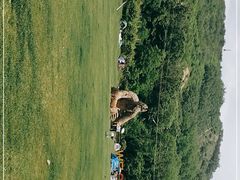 -大连铭湖国际观光牧场