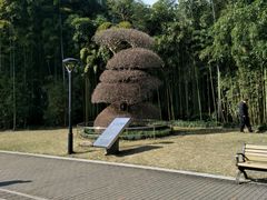 -苏州河梦清园环保主题公园