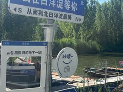 -白洋淀景区