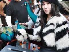 -灵玲国际马戏城