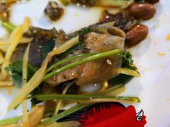 凉拌鱼皮-洞密园美食城·二十二年老店(富华路店)