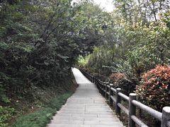 -池州市平天湖风景区