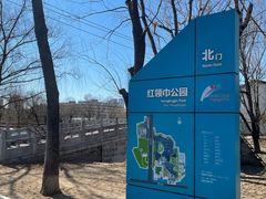 -团结湖公园