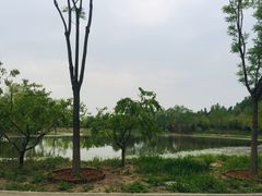-东郊湿地公园