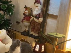 -Catmate·猫肥家润(金润铂宫店)