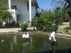 -广富林宰相府酒店·水云间