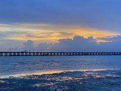 -宝安西湾红树林湿地公园