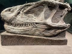 -自贡恐龙博物馆