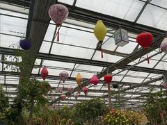 -南宫五洲植物乐园