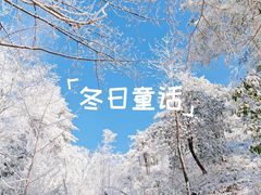 -四明山国家森林公园