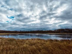 -塞罕坝国家级自然保护区