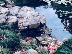 -上海醉白池公园