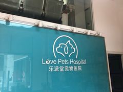 -乐派堂宠物医院·猫友好· 心脏科(东街店)