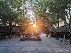 -西双版纳傣族园