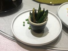 -天福苑(崇宁路店)