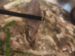 -老石黑山羊毛驴肉火锅(金凯广场店)