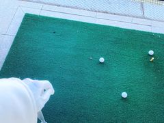 -万柳高尔夫俱乐部