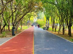 -大兴滨河森林公园