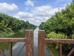 -黄海国家森林公园