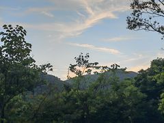 -阳台山森林公园