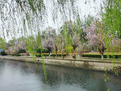 -元大都城垣遗址公园