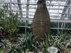 -南山植物园