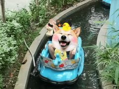 -南宫五洲植物乐园