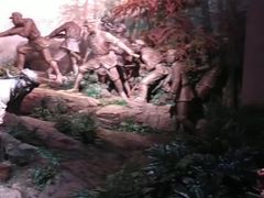 -井冈山风景名胜区